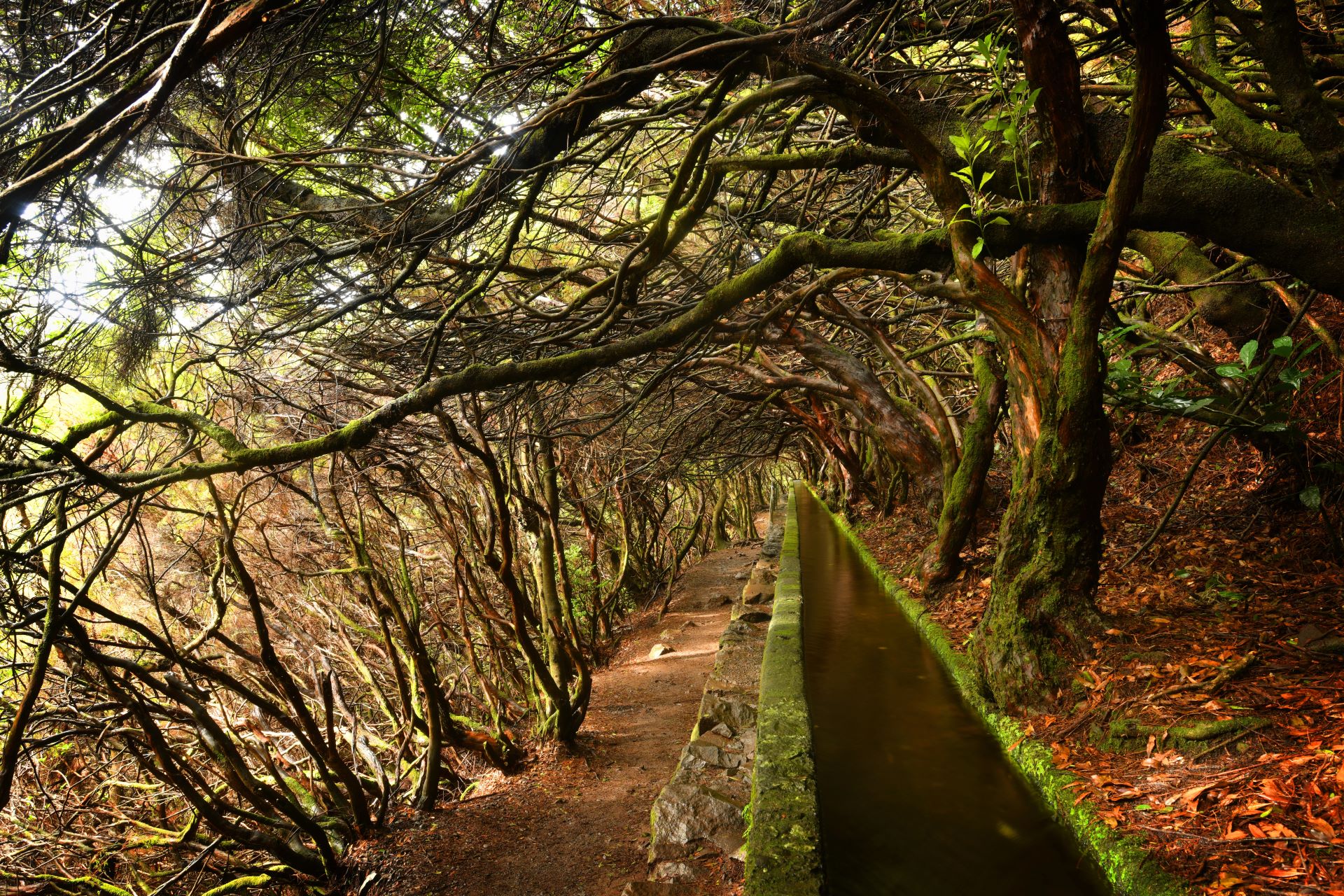 Ein Levada